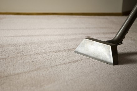 This is a shallow DOF and copy space of shag rug.