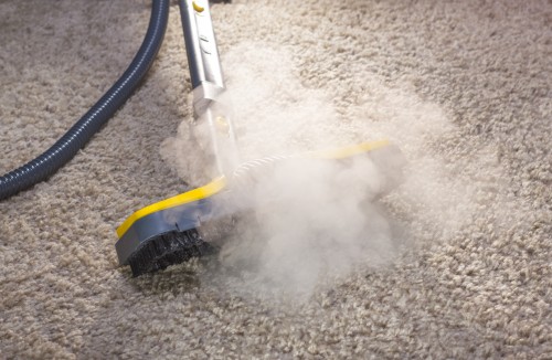 Using dry steam cleaner to sanitize floor carpet.